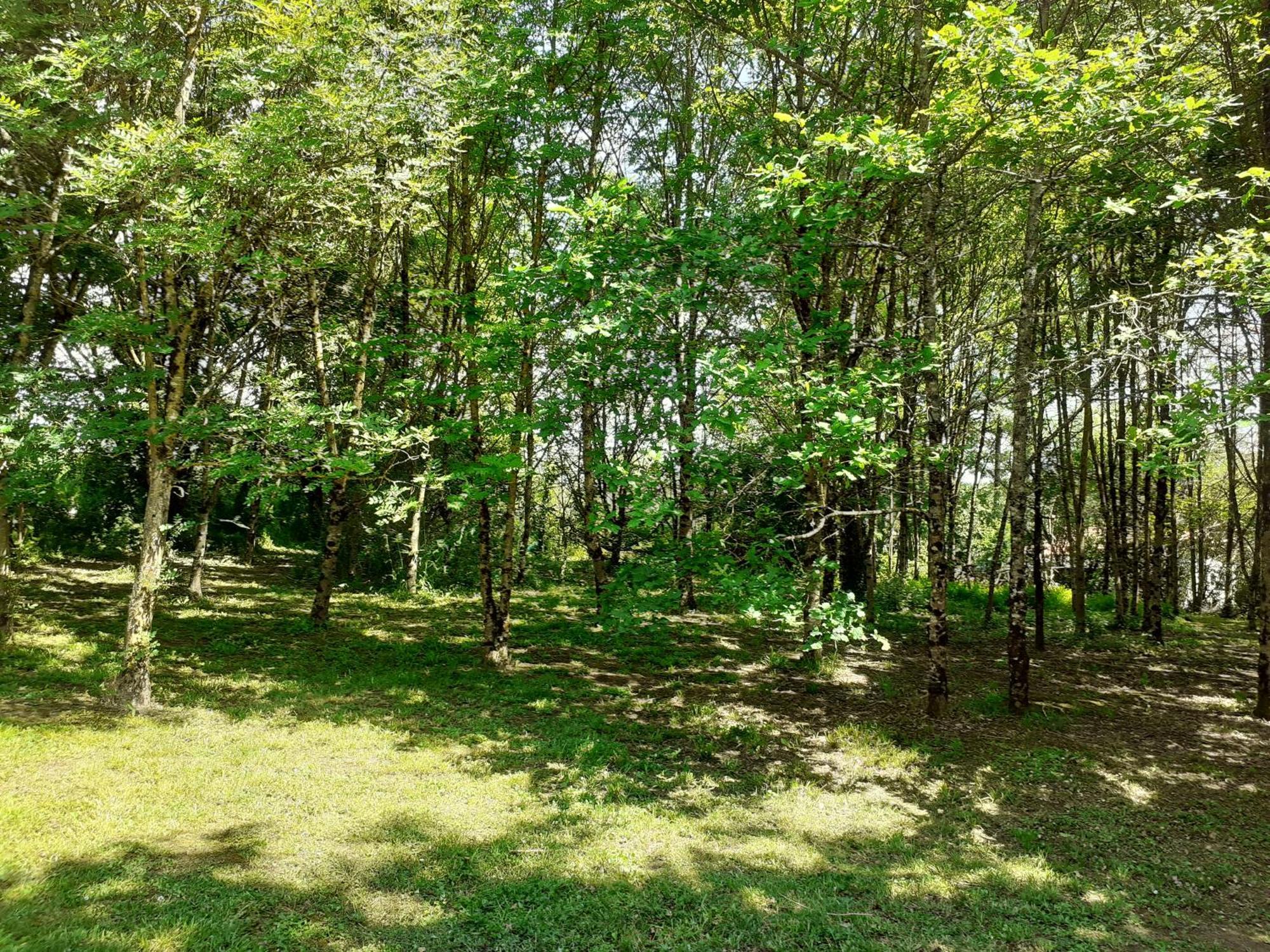 La Villa Le Petit Bois, Pres Rocamadour, Padirac 라베르그네 외부 사진